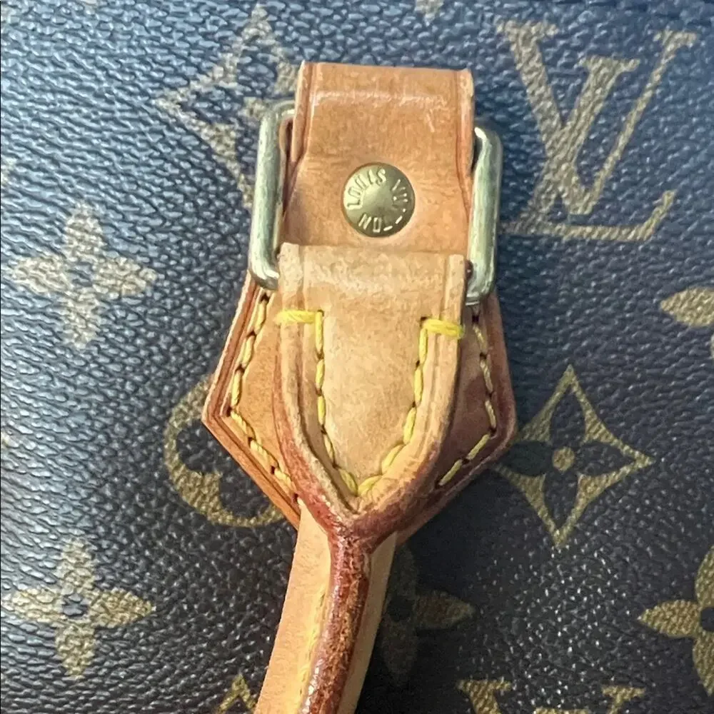 Louis Vuitton Alma PM Monogram Handbag